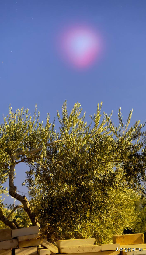5.png