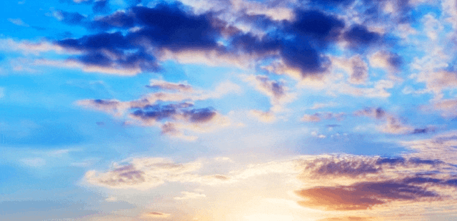 1.gif