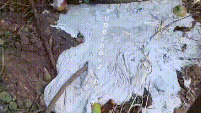 6.gif