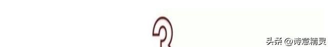 11.jpeg