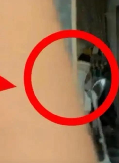 5.jpeg