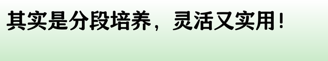13.png