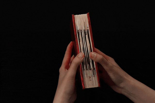 2.gif
