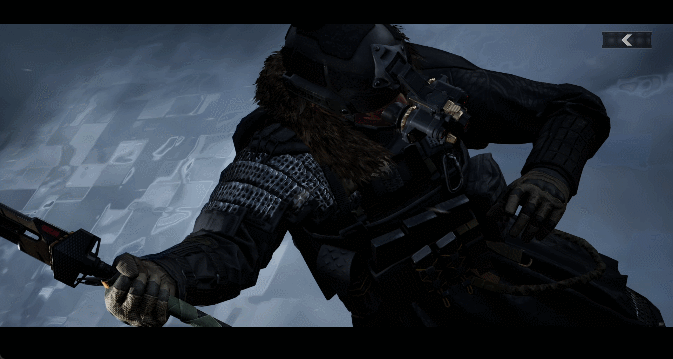 13.gif