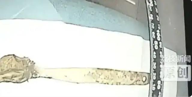 5.jpeg