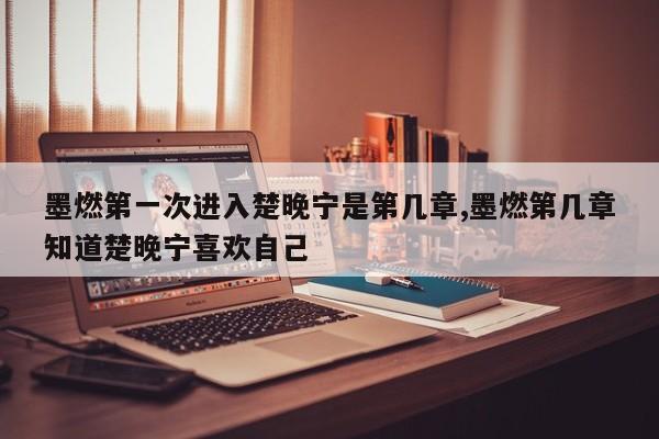 墨燃第一次进入楚晚宁是第几章,墨燃第几章知道楚晚宁喜欢自己