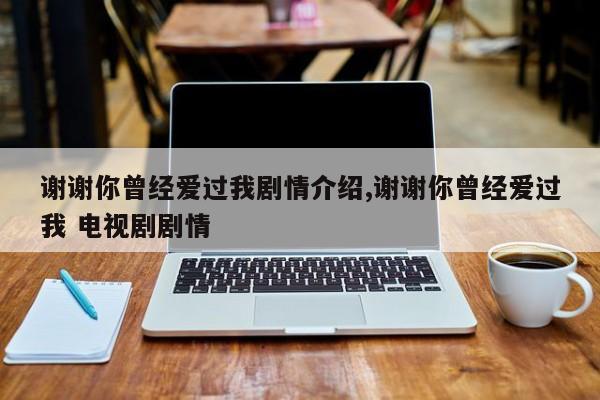 谢谢你曾经爱过我剧情介绍,谢谢你曾经爱过我 电视剧剧情