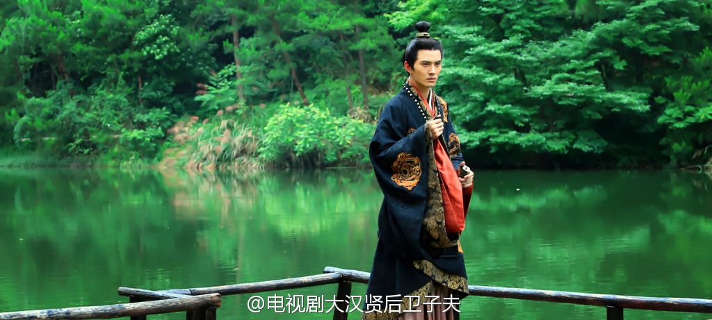 卫子夫电视剧剧情介绍,卫子夫电视剧全集50集结局