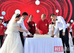 银婚全集在线观看,银婚电视剧全集免费剧情介绍