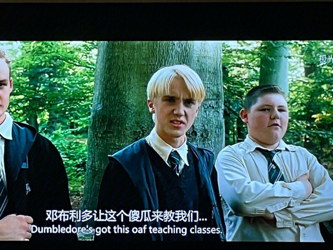 哈利波特在线观看,哈利波特在线观看免费版英文版