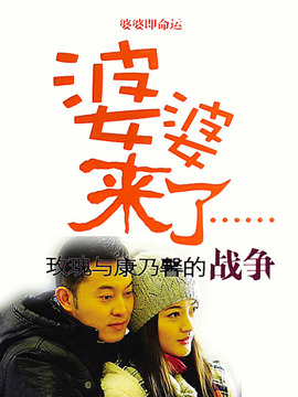 婆婆来了剧情介绍,婆婆来了剧情介绍林申