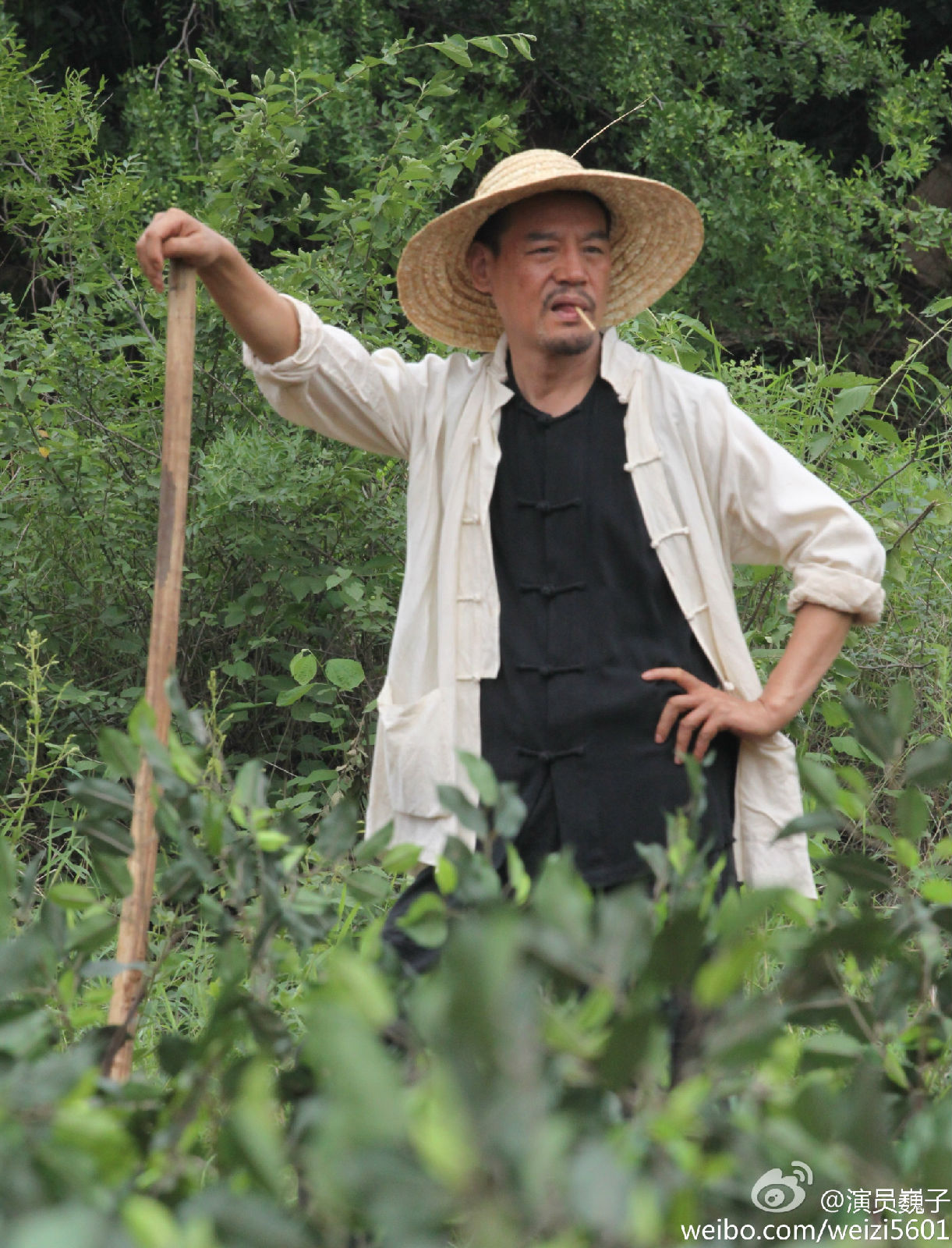 光荣大地剧情介绍,光荣大地演员表全部